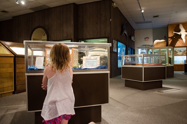 Brazosport Museum of Natural Science Exhibit in Clute