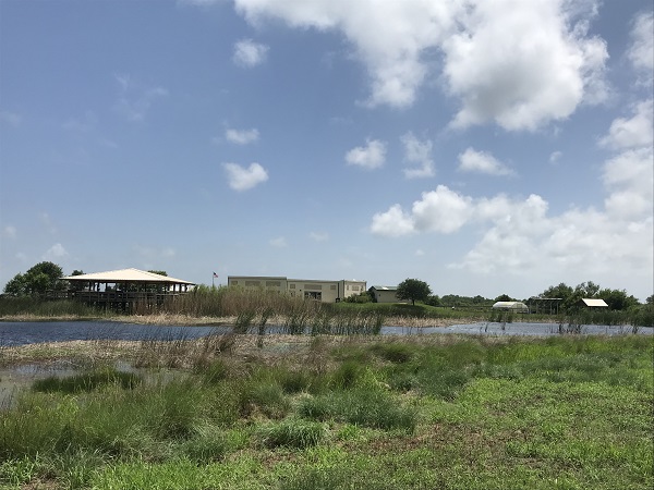Behind Discovery Center at Brazoria NWR