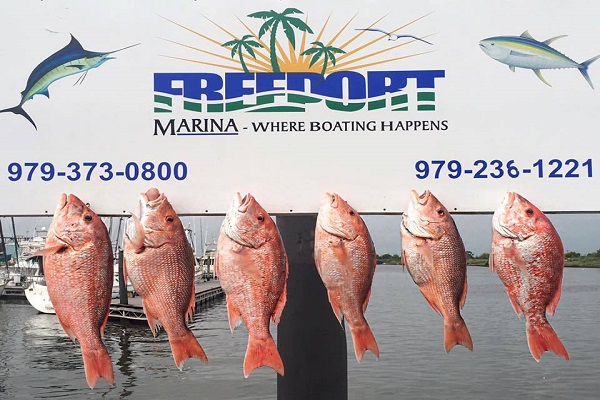 Freeport Marina Fish