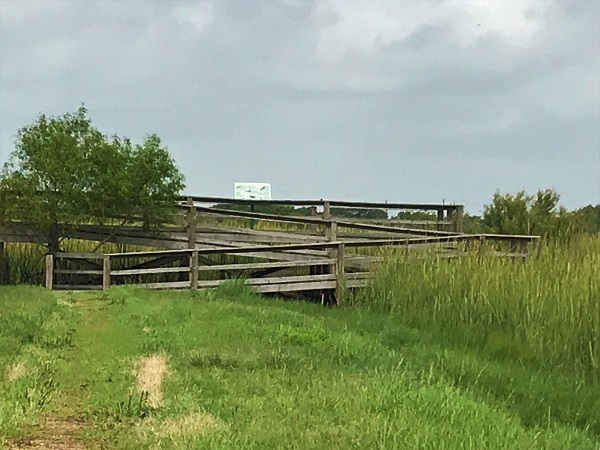 Freeport Wetlands Observation Deck