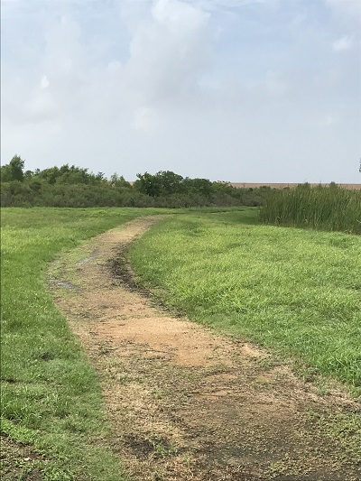 Freeport Wetlands Trail Entrance