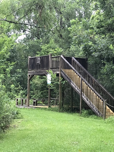 Gulf Coast Bird Observatory Observation Deck