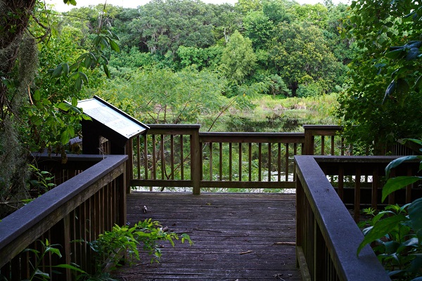 Scoby Lake Trail at Hudson Woods