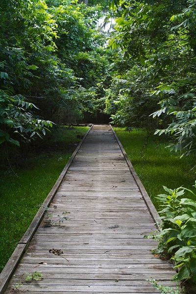 Hudson Woods Scoby Lake Trail Boardwalk