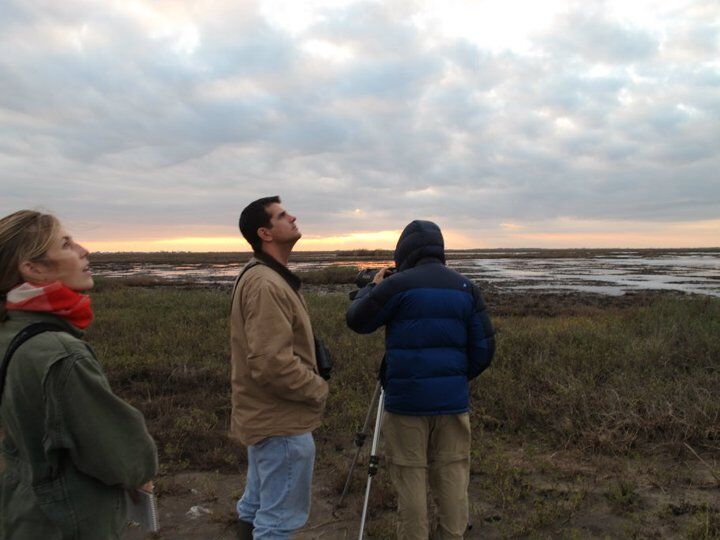 Justin Hurst Wildlife Management Area in Jones Creek near Freeport