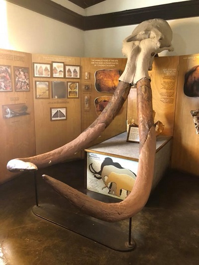 Mammoth Replica at Asiel's in Clute