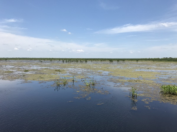 Moccasin Pond at SBNWR