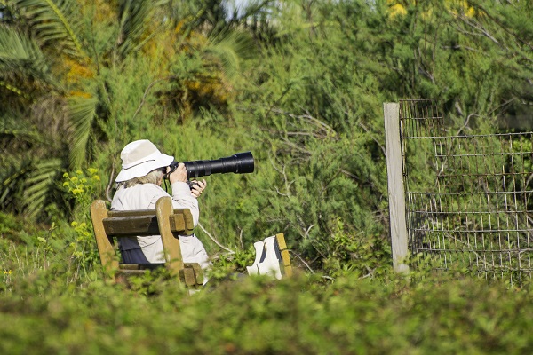 Quintana Neotropical Bird Sanctuary Birders 2019