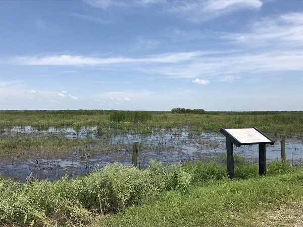 Rail Pond at SBNWR