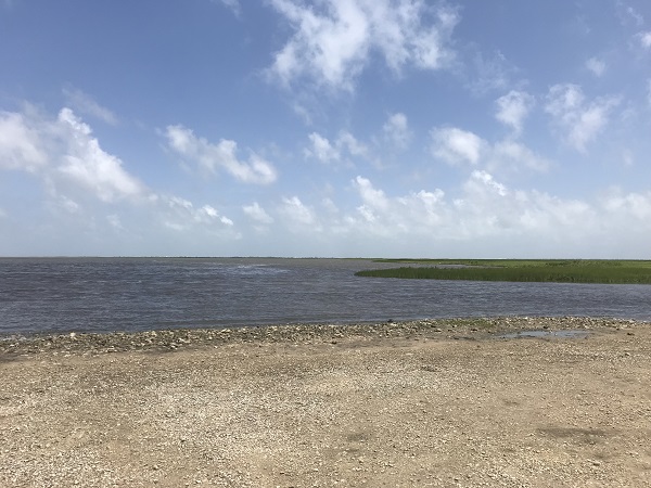 Salt Lake Public Fishing Area at Brazoria National Wildlife Refuge 1