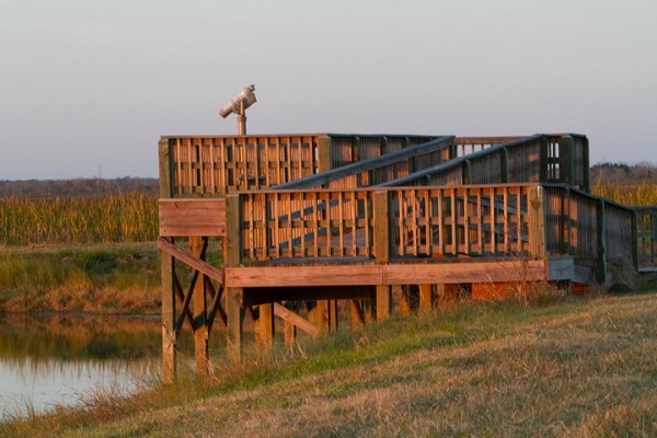 San Bernard National Wildlife Refuge near Lake Jackson Observation Platform