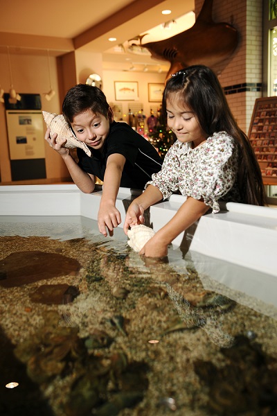 Sea Center Touch Tank in Lake Jackson