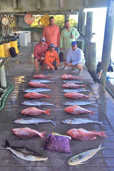 Bridge Bait Fish