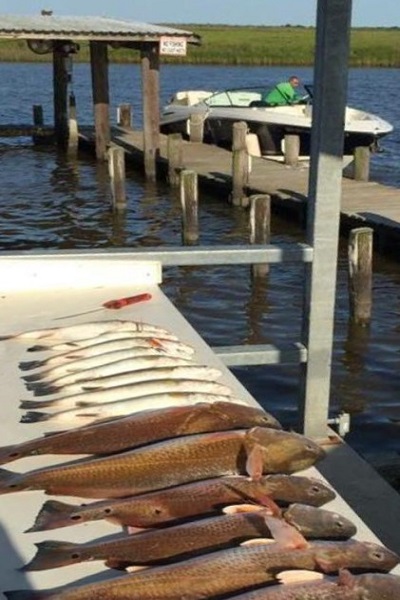 Capt. Mark's Bastrop Marina Fish