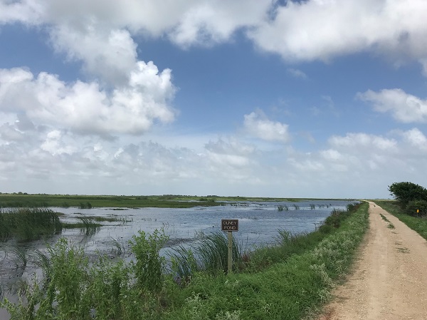 Big Slough Auto Tour Pond View at Brazoria National Wildlife Refuge