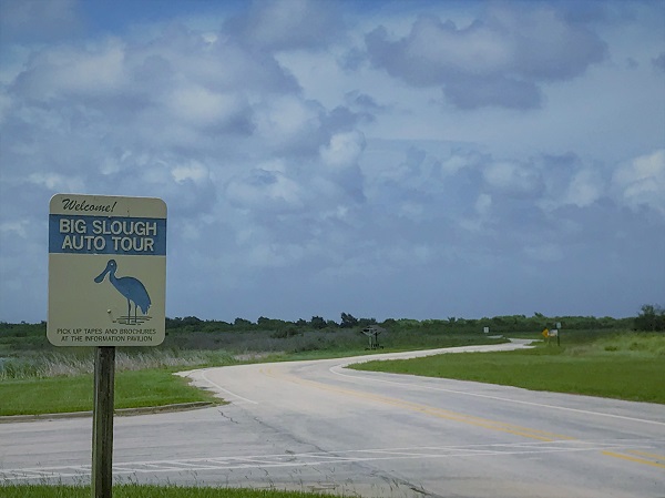 Big Slough Auto Tour at Brazoria National Wildlife Refuge