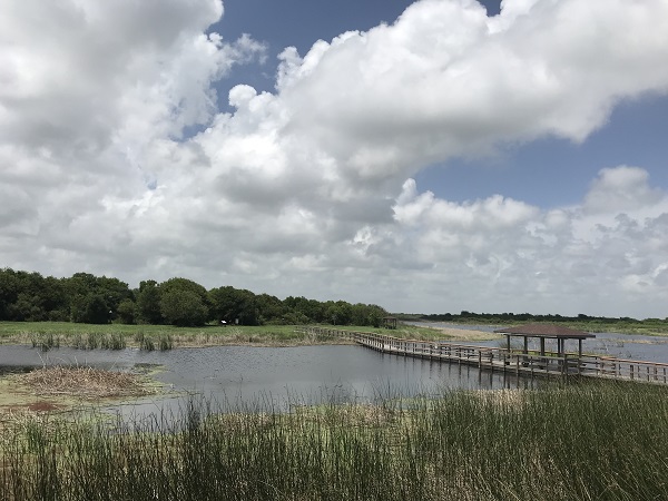 Big Slough Boardwalk & Trail at the Brazoria National Wildlife Refuge