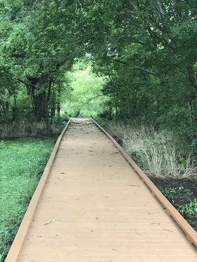 Bobcat Woods Trail Entrance at SBNWR