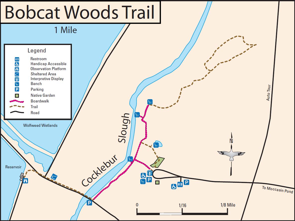 Bobcat Woods Trail Map at the San Bernard National Wildlife Refuge