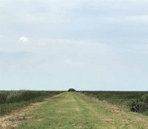 Cow Trap Marsh Trail at the San Bernard National Wildlife Refuge