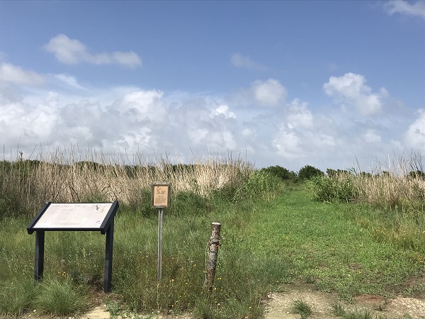 Cox Lake Trail Entrance at Brazoria National Wildlife Refuge