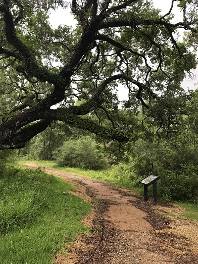 The Dow Woods Bayou Loop