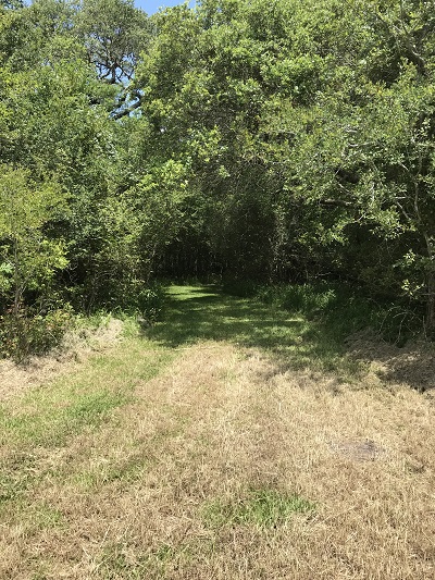 San Bernard Oak Trail Entrance at SBNWR