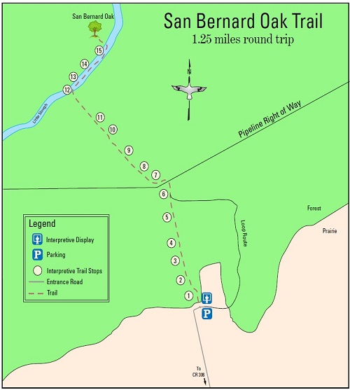 San Bernard Oak Trail Map