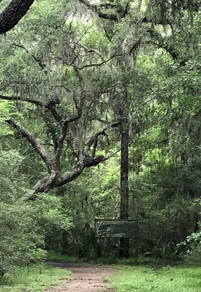 Wilderness Park Trail in Lake Jackson