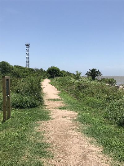 Surfside Beach Bird & Butterfly Trail Path