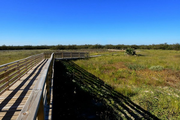 Kelly Hamby Nature Trail Grassland