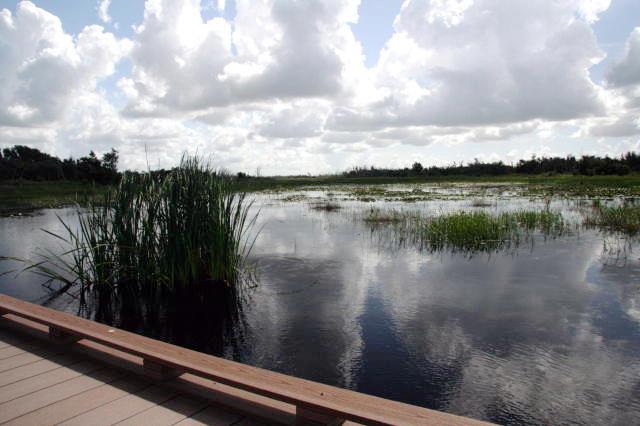 Otter Slough Trail at Brazoria National Wildlife Refuge