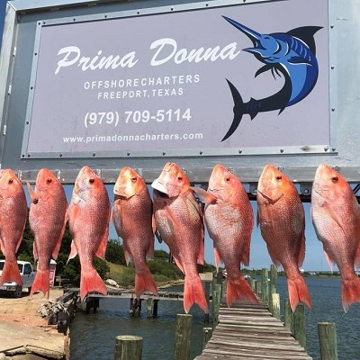 Prima Donna Offshore Charters Freeport
