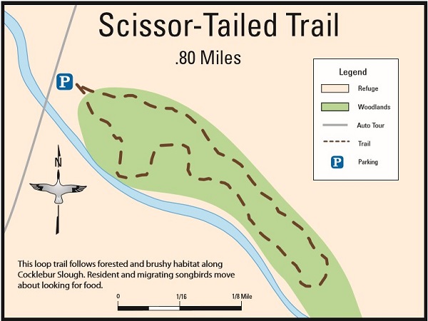 Scissor Tail Trail Map San Bernard National Wildlife Refuge