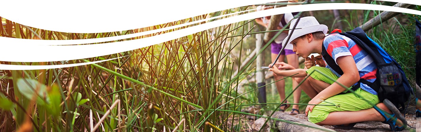 Kids hiking along a nature trail and observing wildlife in Brazosport, Texas.