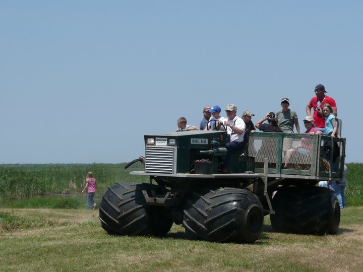 Migration Celebration at San Bernard National Wildlife Refuge