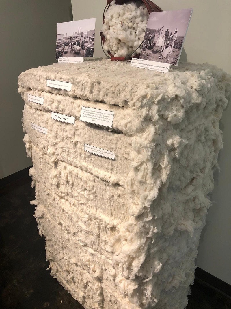 Levi Jordan Plantation Cotton Exhibit